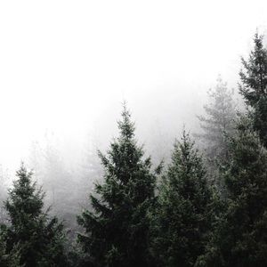 Meet your Posher, Nelia